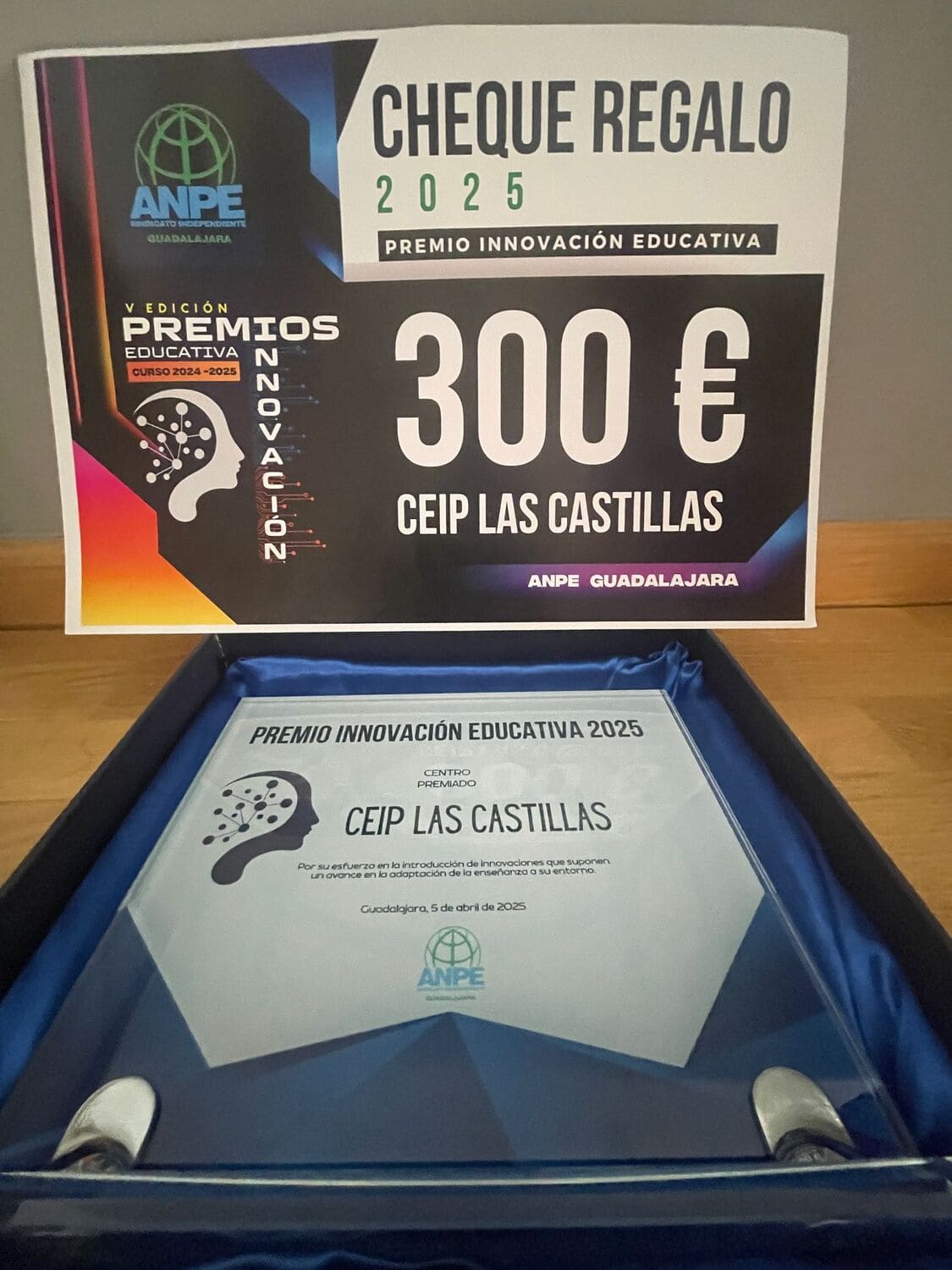 Premio de Innovación Educativa